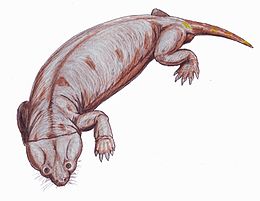 Реконструкція Cistecephalus microrhinus