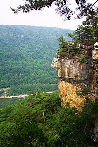 A section of the cliff at Endless Wall in New River Gorge. Cliff New River Gorge WV USA.JPG