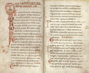 Le condaghe de San Pietro di Silki (1065-1180), écrit en sarde.