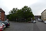 Vorschaubild für Gudrun-Pausewang-Platz