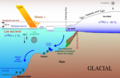 Scetch of sedimentary processes during glacial times