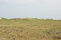 English: Dunes at Core Banks, North Carolina