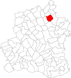 Lage in Teleorman County