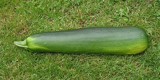 <span class="mw-page-title-main">Marrow (vegetable)</span> Vegetable of the squash variety