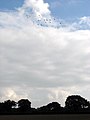 Cranes overhead - geograph.org.uk - 578377.jpg