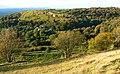 Crickley Hill, Gloucestershire - geograph.org.uk - 639791.jpg