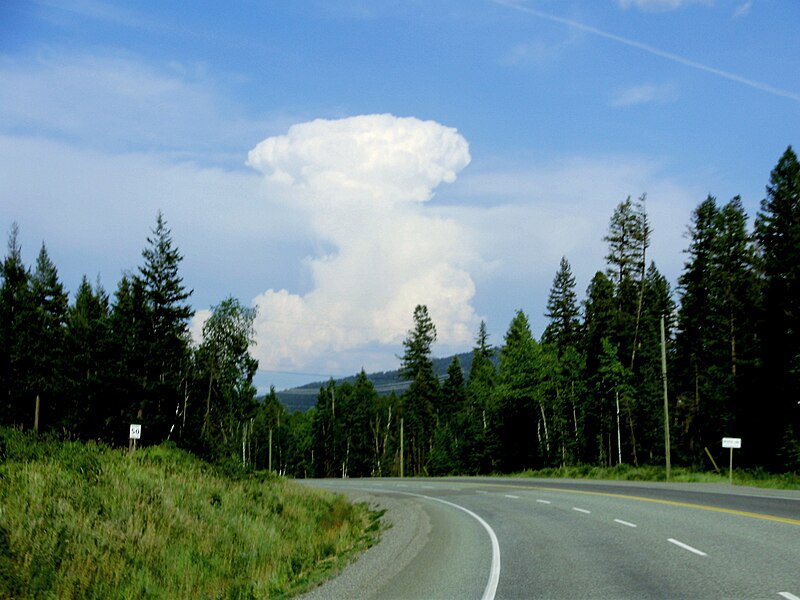 File:Cumulonimbus incus storm cell.jpg