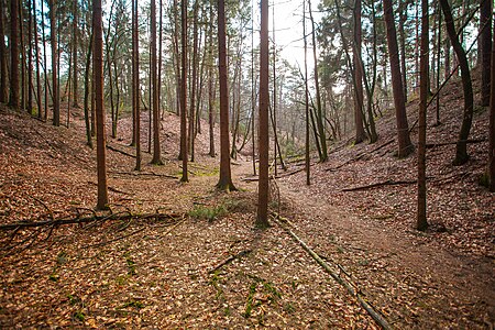 Dörenschlucht 01