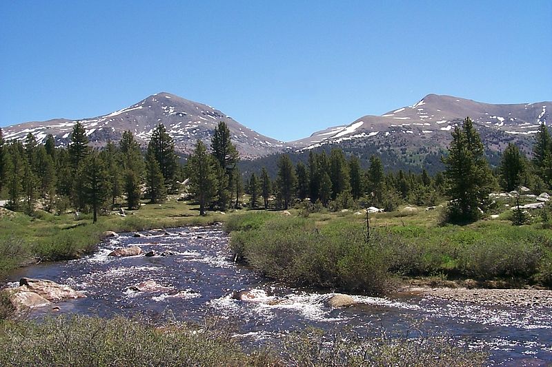 File:Dana Meadows Yosemite.jpg