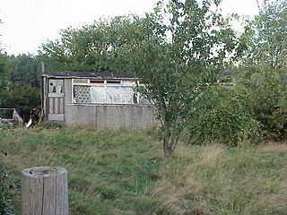 <span class="mw-page-title-main">Dearne District Light Railway</span>