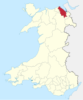 <span class="mw-page-title-main">District of Delyn</span> Former district of Clwyd, Wales