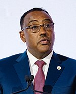 Demeke Mekonnen: imago