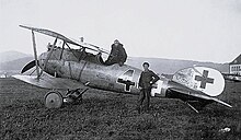 アルバトロス D.V - Wikipedia