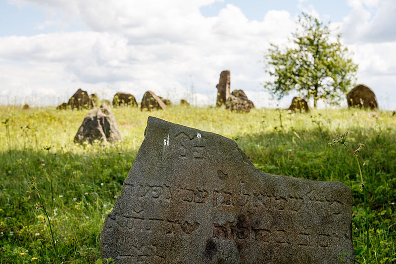 File:Dieveniskes Jewish cemetery.jpg