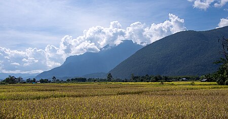 เขตรักษาพันธุ์สัตว์ป่าเชียงดาว