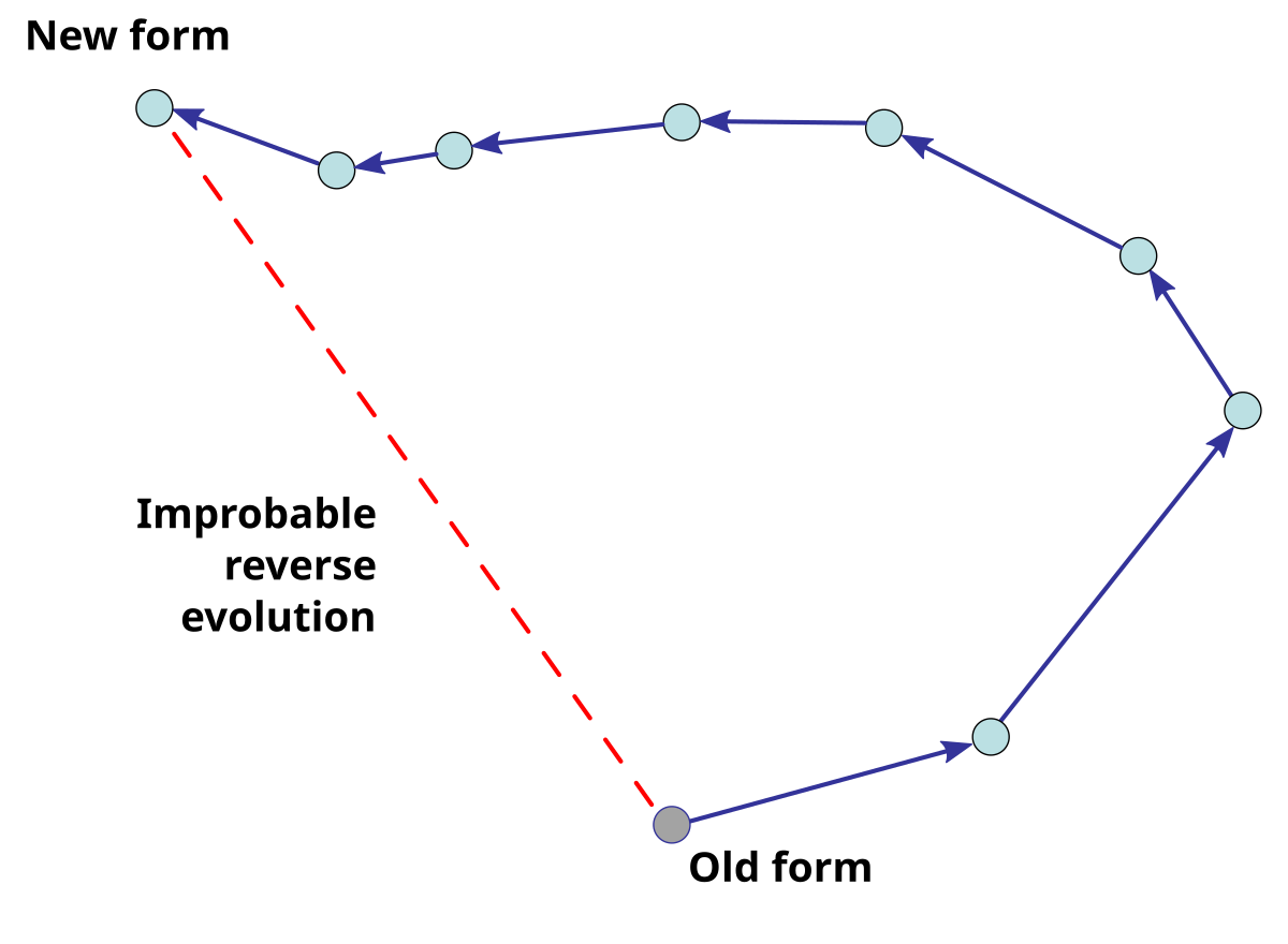 ドロの不可逆則 Wikipedia