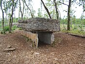 Dolmen d'Agranel