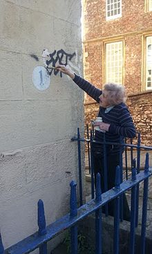 Дороти Браун, активистка кампании в Бристоле.jpg