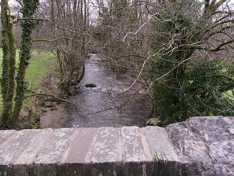 File:Down stream from bridge over Afon Taf - geograph.org.uk - 2804361.jpg