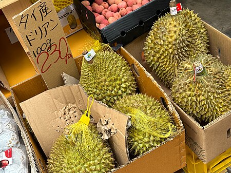 Fail:Durians for sale in Yokohama 2023 May 20 11-47AM PD Image.jpeg