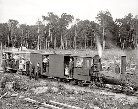 Shay locomotive on an American forest railway