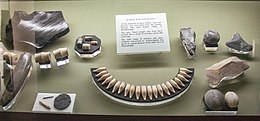 Archaic Maori objects from Wairau Bar, note the obsidian (top left) from the Taupo Volcanic Zone. Early Maori objects from Wairau Bar, Canterbury Museum, 2016-01-27.jpg