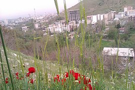 Evin, Tehran, Iran - panoramio (1).jpg