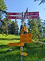 wikimedia_commons=File:Fingerpost Col des Planches 2021-06-13.jpg