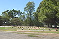 English: Cemetery at Finley, New South Wales