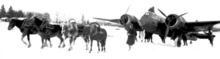 A Blenheim bomber aircraaft, with OH-IPD (BL-137) markings, being towed by horses on the ice of Jukasjarvi on February 26, 1940. Finnish-horses-tow-bristolblenheim-winterwar.png