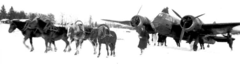 Finnish-horses-tow-bristolblenheim-winterwar.png