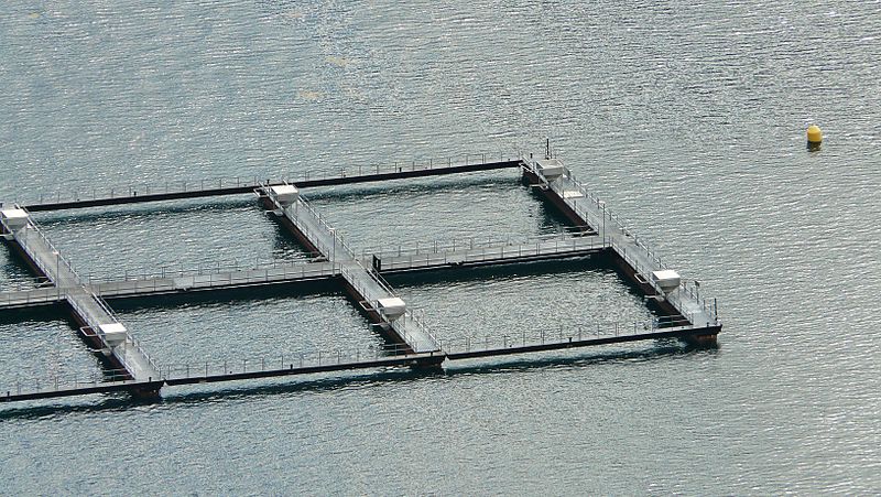 File:Fish farming in Storfjorden 2.JPG