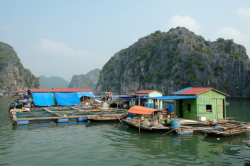 800px-FishingVillage_HaLongBay_Vietnam_(