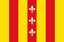 デュフェル の市旗