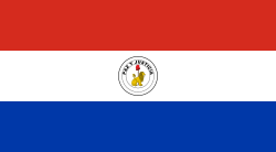 paraguay consulenza esportazione contratto vendita distribuzione agenzia