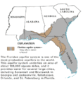 Floridan Aquifer USGS.gif