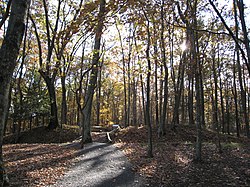 Fort Mill Ridge Civil War Trenches Romney WV 2008 10 30 09.JPG