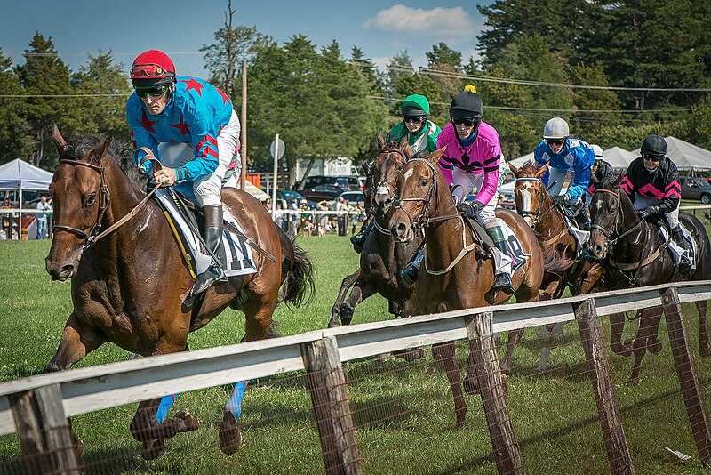 File:Foxfield Race.jpg