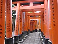 Fushimi-Inari-taisha sembon-torii