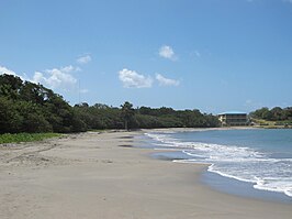 Strand van Gallows Bay