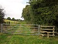 Gate and stile by Down Copse - geograph.org.uk - 3187084.jpg