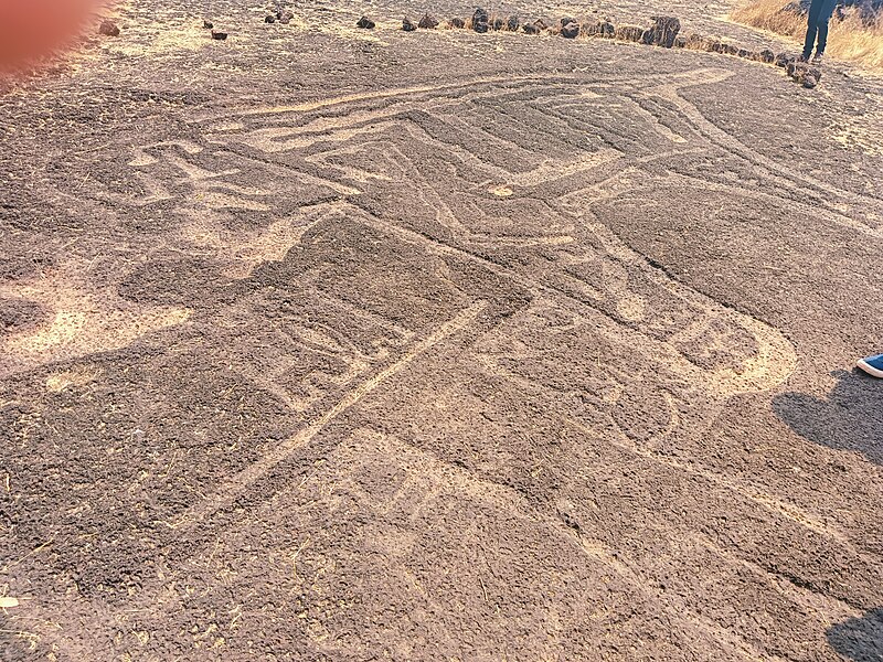 File:Geoglyphs of barsu.jpg