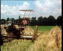 File: Grain harvest with the Mähbinder.webm