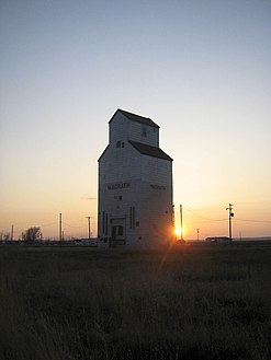 Old grain elevator in Magrath.