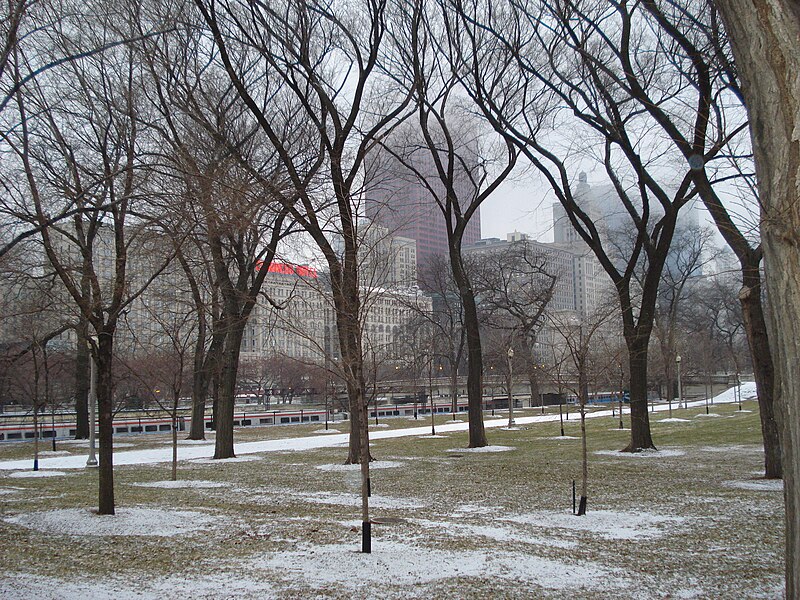 File:Grant Park, Metra Electric train (4423716961).jpg