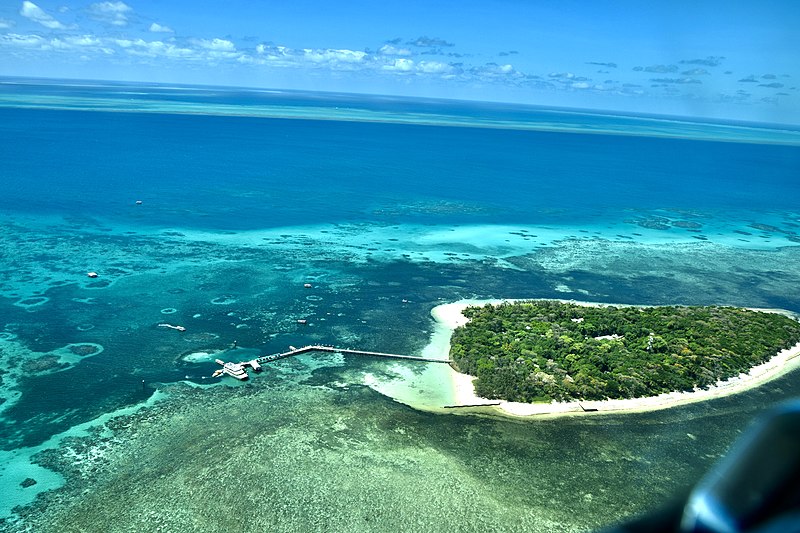 File:Great Barrier Reef off Cairns coast (Ank Kumar) 03.jpg