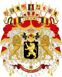 <span class="mw-page-title-main">Monarchy of Belgium</span> Constitutional, hereditary and popular monarchy of Belgium