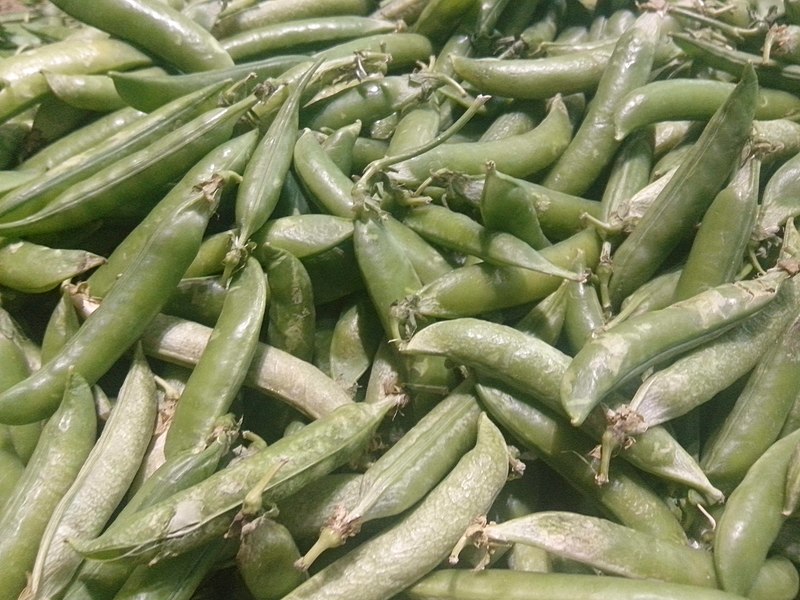 File:Green pees of Salem Tamil Nadu.jpg