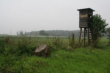 Großsteingrab Byhusen 03