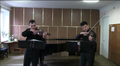 Song tấu vĩ cầm (violin duet)